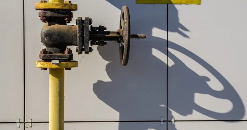 UE şi Algeria îşi consolidează strategiile pentru sectorul de gaze şi tranziţia energetică