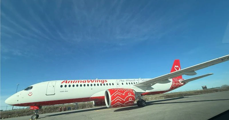 După ce și-a cerut insolvența, două avioane A220 din flota AnimaWings au părăsit România