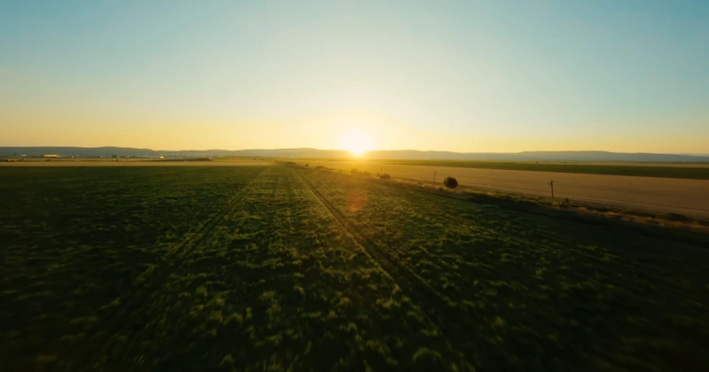Gigantul PepsiCo schimbă modul în care fermierii români vor putea produce cartofii pentru Lay’s