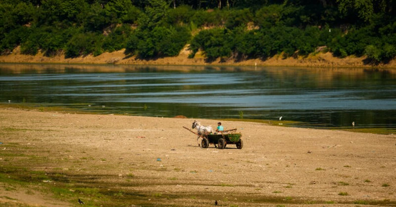 Ce se întâmplă pe Dunăre în România – date oficiale 16-22 august