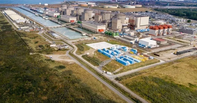 Meduzele au oprit trei reactoare ale unei centrale nucleare din Franţa