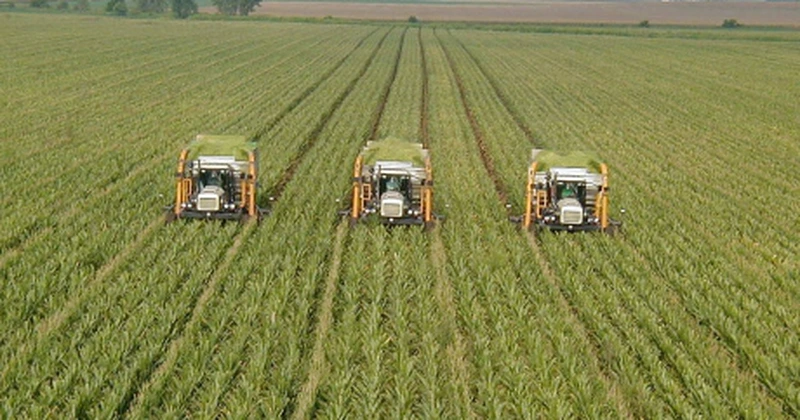 Franţa se pregăteşte de criza pensionarilor din agricultură
