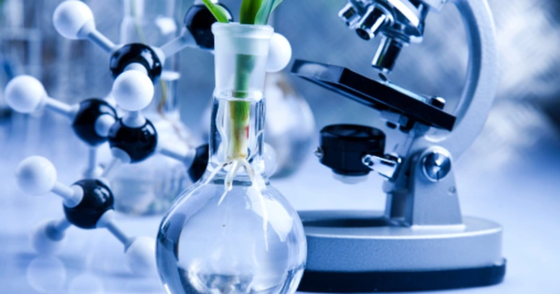 Comisia Europeană lansează o nouă abordare strategică pentru a stimula cercetarea şi inovarea în sectorul agroalimentar