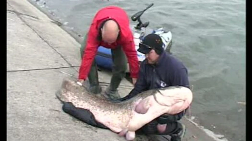 MADR: acvacultura trebuie promovată prin sprijin financiar, mai ales sub formă de granturi