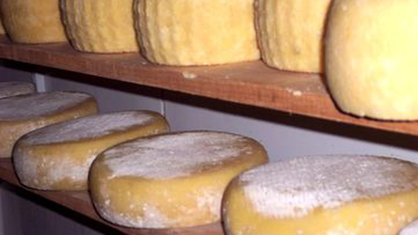 A aparut brânza originală de Botoşani
