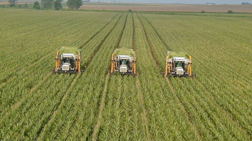 Ministerul Agriculturii va absorbi în primul trimestru fonduri europene de un miliard de euro