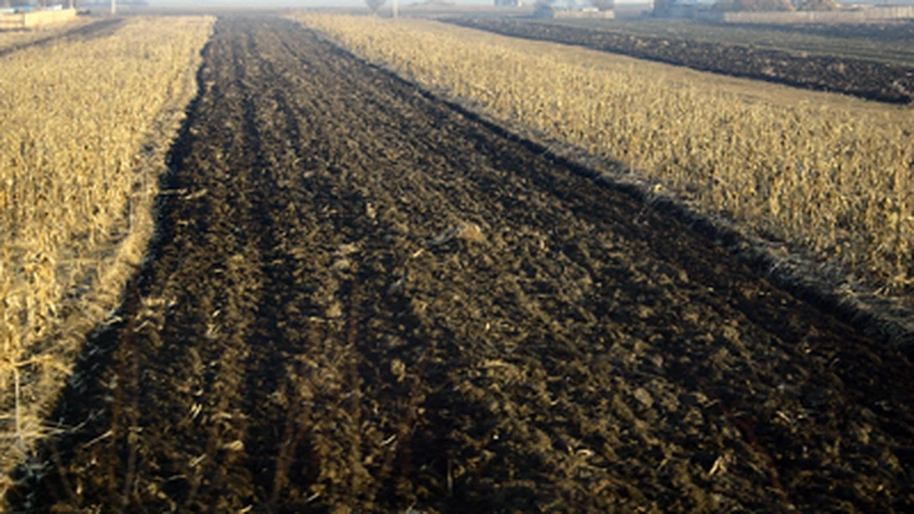Bancherii din Vest intră în cursa pentru terenul arabil românesc