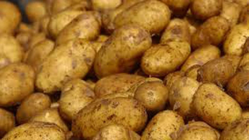 INS: Cartofii s-au ieftinit în iulie cu 11,61%. Ouăle s-au scumpit cu 3,94%