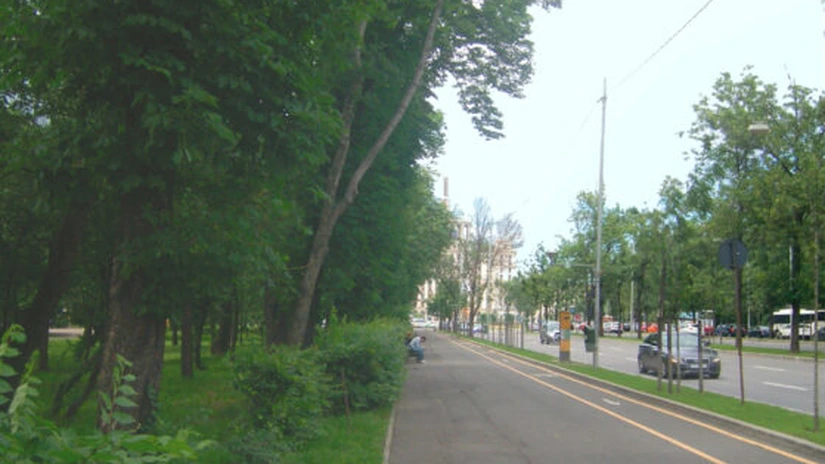 Trafic restricţionat pe Kiseleff în weekend, pentru campania 'Capitala creşte verde'