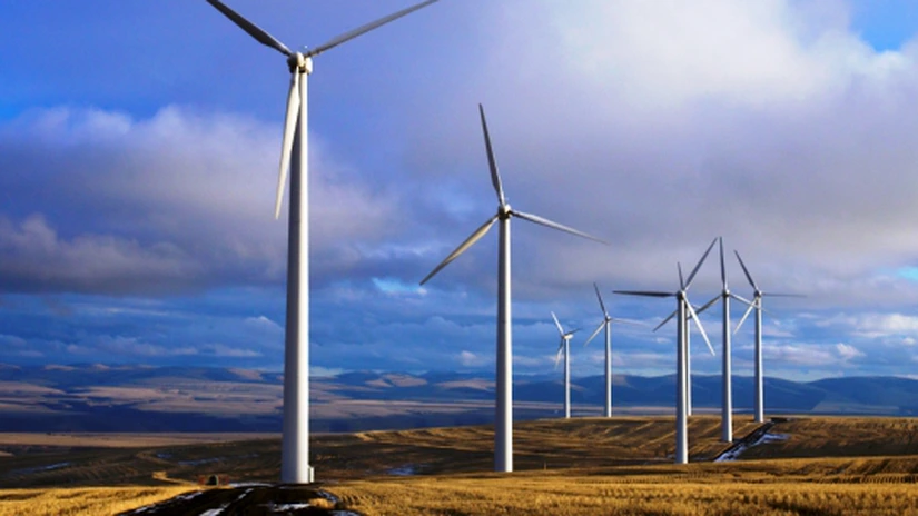 Asociaţiile din industria regenerabilelor: Noua cotă de certificate verzi, lovitura de graţie pentru energia regenerabilă