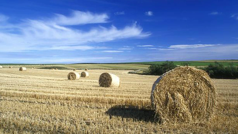 Cum ne mai vindem ţara: Englezii aduc afacerişti în excursii pentru cumpărarea de terenuri agricole