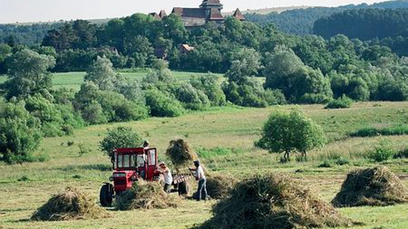 Liviu Dragnea: Vom intra cu un proiect de lege prin care să ajutăm românii să cumpere terenuri agricole