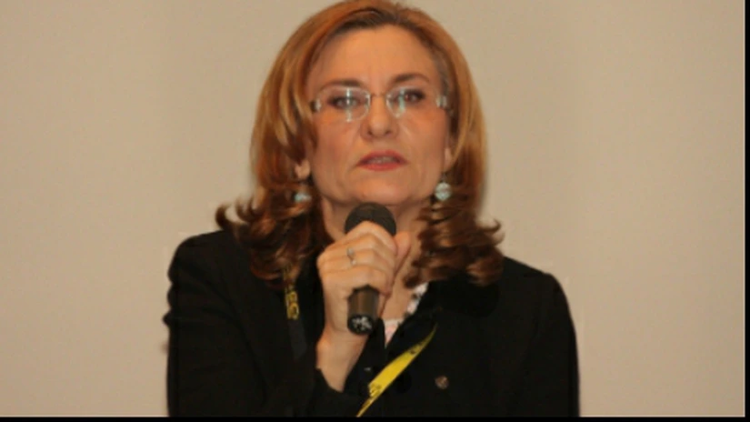 Grapini: N-are nicio vină un investitor, român sau străin, că nu se înţelege un partid cu altul