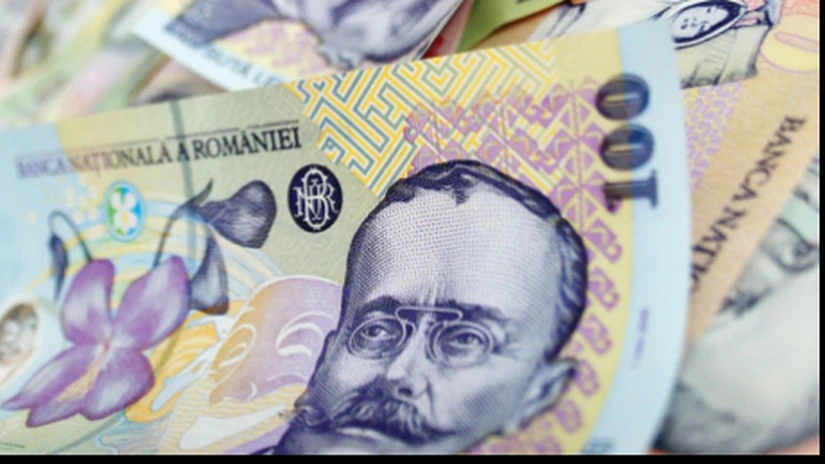 Senator PDL: În an de criză ONG-urile minorităţilor primesc 83 de milioane de lei pentru activităţi