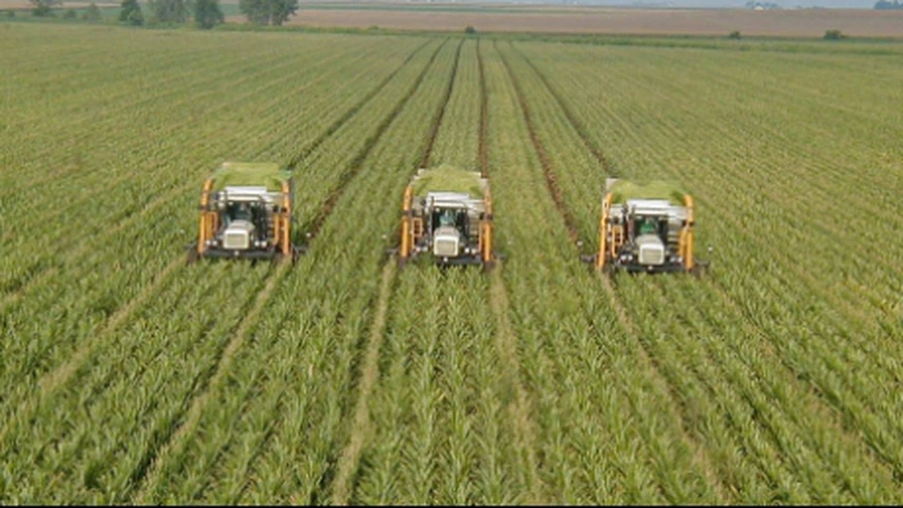 Peste 80% din parcelele agricole din România sunt la limita de sus a încărcăturii cu nitraţi