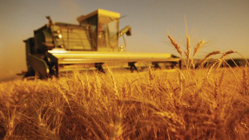 România, printre cei mai mari producători de cereale în 2012