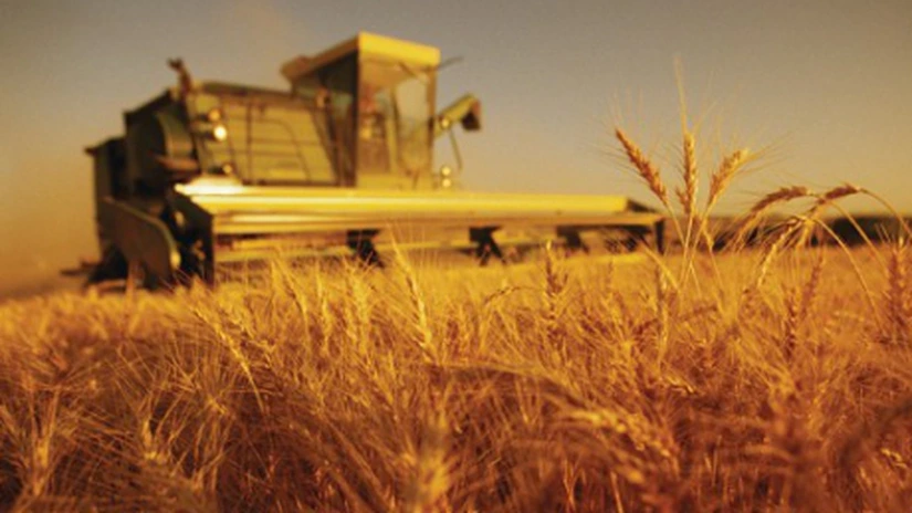 Guvernul a aprobat proiectul care reglementează vânzarea terenurilor agricole către persoane fizice