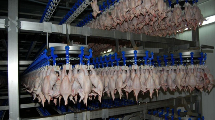 ANSVSA controlează laboratoare de carne şi va înăspri legea, pierderi de zeci de milioane euro