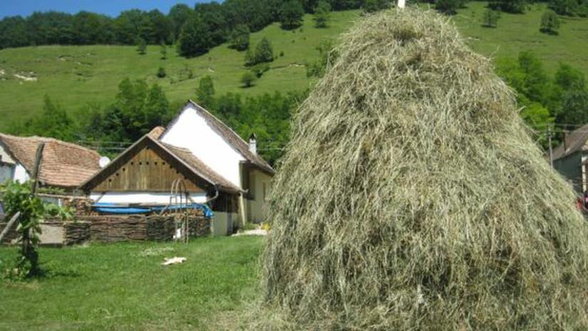 ANTREC lansează o nouă ediţie a programului special Vacanţe la ţară