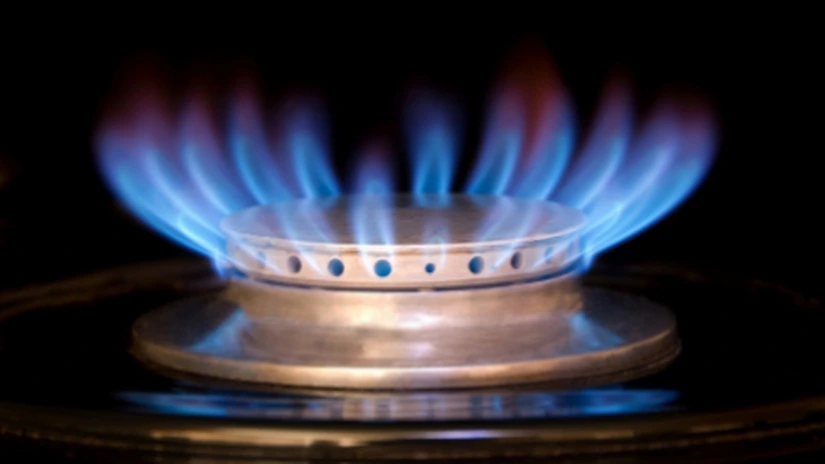 România a importat gaze la un preţ de circa 400 de dolari pe mia de metri cubi anul trecut