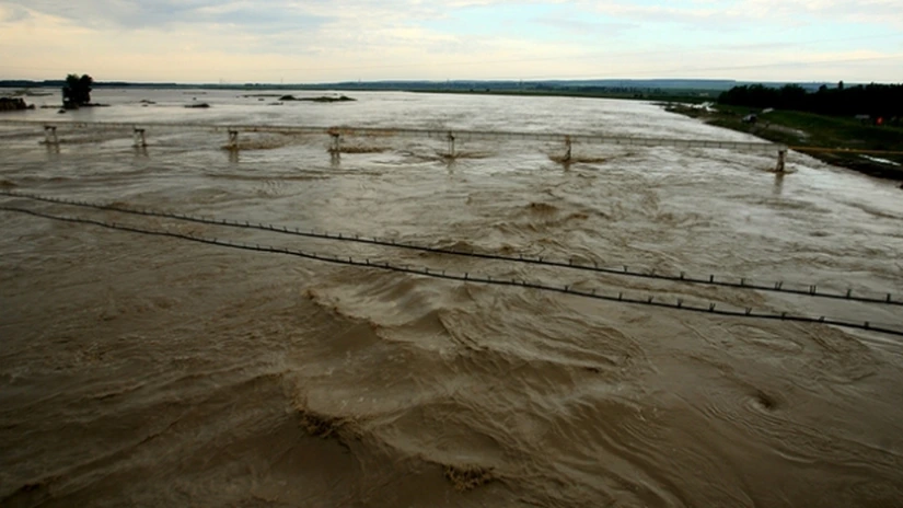 Peste 600 de hectare cu păşune şi pădure au fost inundate în lunca Dunării, în judeţul Olt