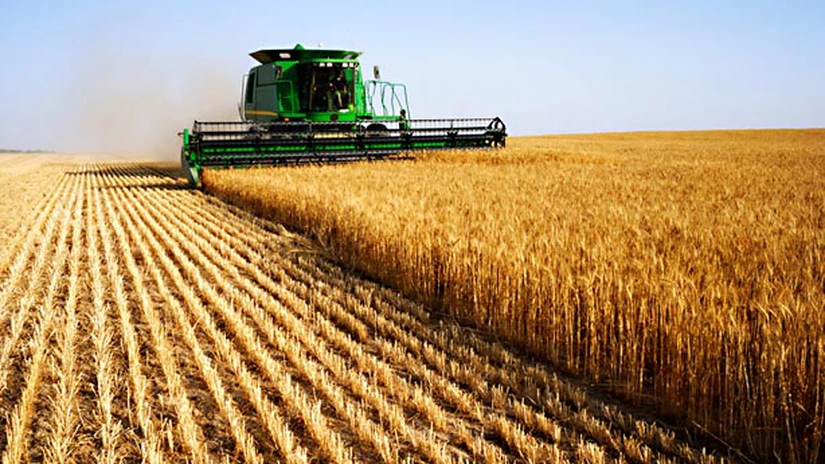 Ministrul Agriculturii: Aproximativ 600 de milioane de euro vor pleca către fermieri începând din 16 octombrie
