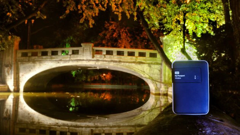 PMB: Proiectul de reabilitare a Parcului Cişmigiu nu propune defrişări de arbori