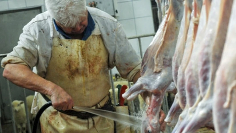 Sindalimenta: Din toamnă ar putea să apară proteste în industria alimentară. Angajaţii sunt plătiţi foarte prost