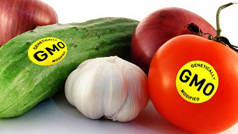 Interzicerea organismelor modificate genetic ar putea duce la creşterea preţurilor la alimente