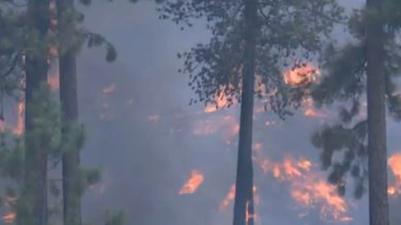 Stare de urgenţă în California din cauza incendiilor