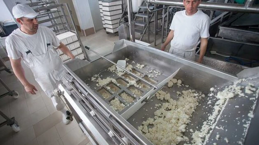 Cum face un român profit din lactate. Unilact Transilvania exportă jumătate din producţie