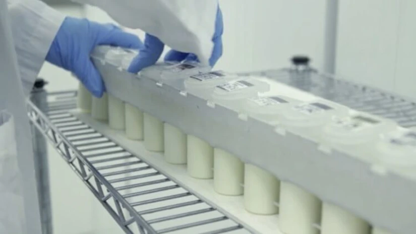 Simultan, cel mai mare procesator de lapte cu capital autohton, investește 6,5 milioane de euro într-o nouă fabrică. Va înlocui munca repetitivă cu roboți