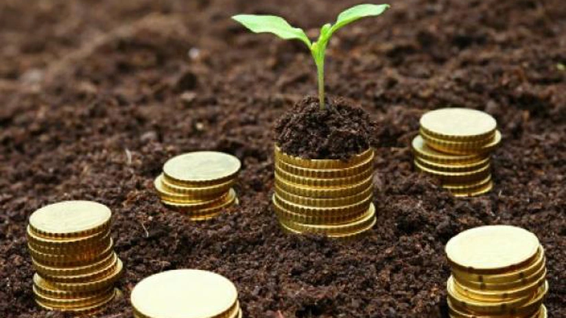 Program de Guvernare 2021-2024: Cum va arăta programul Agri Invest și ce se va putea credita cu dobândă 