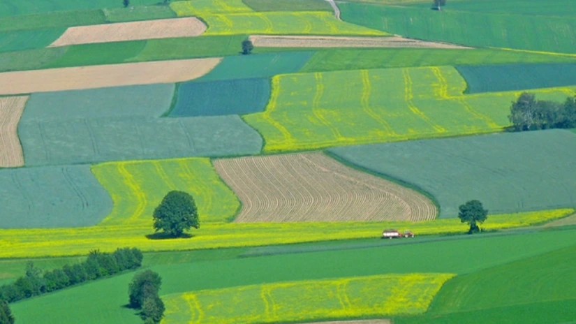 Fermierii pot primi un sprijin financiar de până la 1.500 de euro pe an pentru comasarea terenurilor agricole