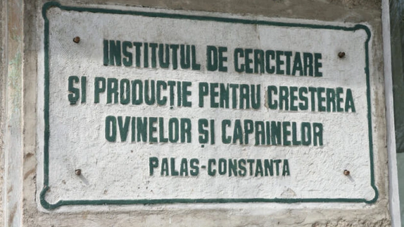 Guvernul reorganizează Institutul de Cercetare-Dezvoltare pentru Creşterea Ovinelor şi Caprinelor - Palas