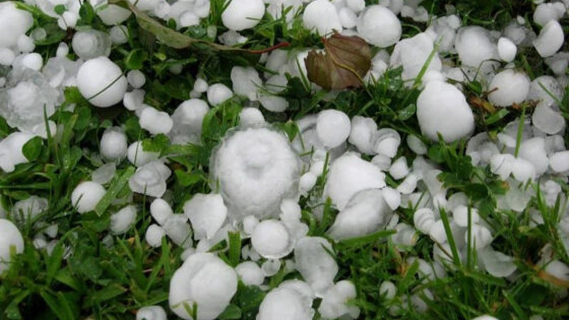 Gothaer: Grindina provoacă două treimi din daunele pe segmentul asigurărilor agricole