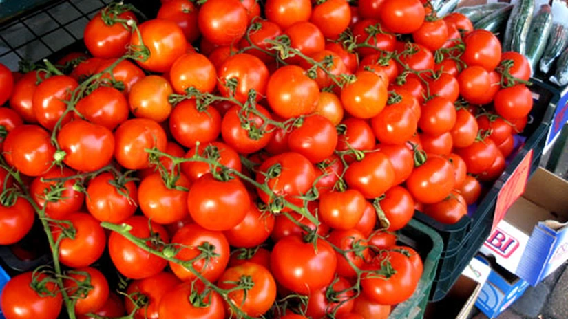 Programul pentru tomate: peste 5.300 de solicitări de înscriere, la MADR
