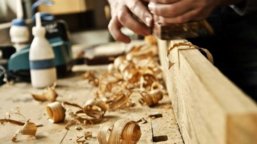 Eurostat: Numărul de angajaţi din industria prelucrării lemnului din România a crescut cu 17% în ultimii şase ani, la peste 80.000