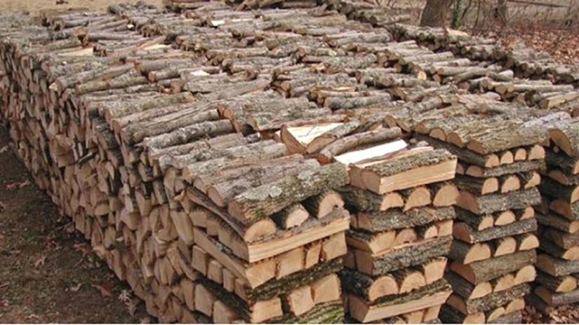 Proiect adoptat: TVA de 5% pentru livrarea de lemne de foc pentru persoanele fizice