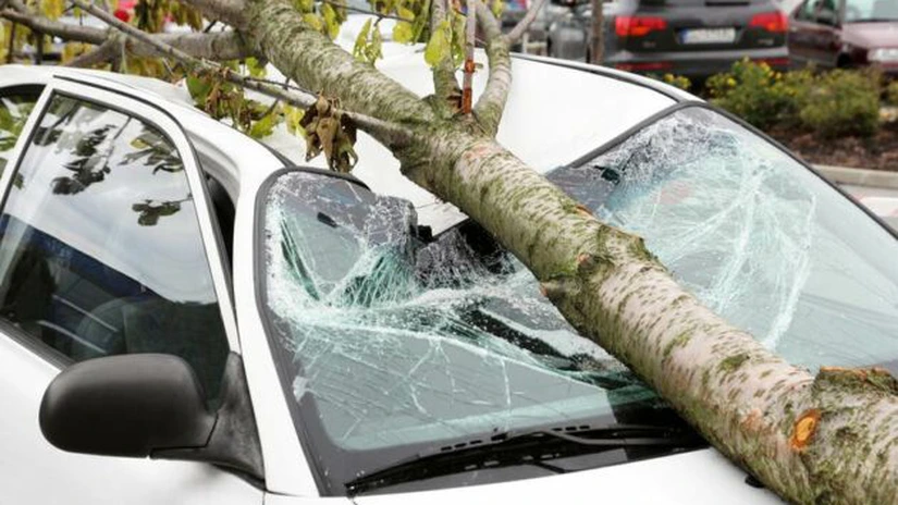 Bilanţ ISU în Bucureşti - două persoane rănite, 128 de copaci doborâţi de vânt, 72 de maşini avariate