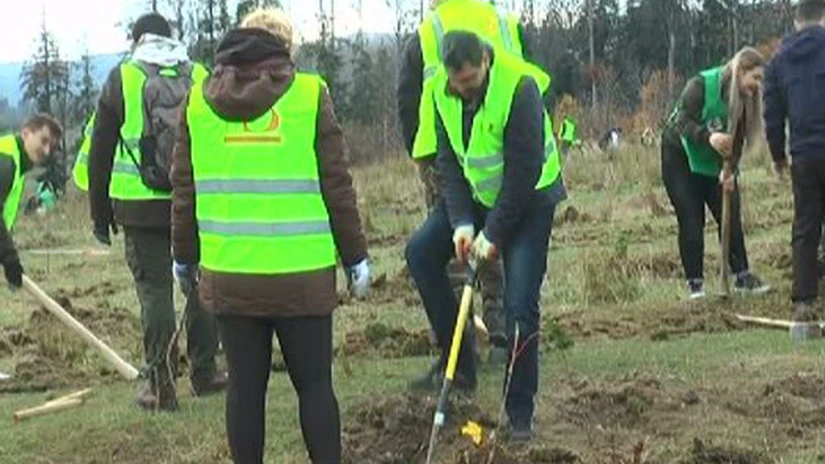 Voluntarii proiectului 