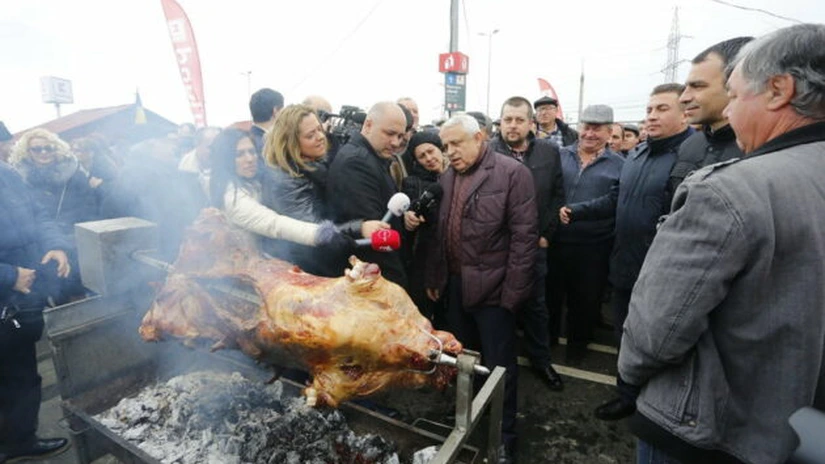 Daea: De Crăciun mâncăm porc românesc