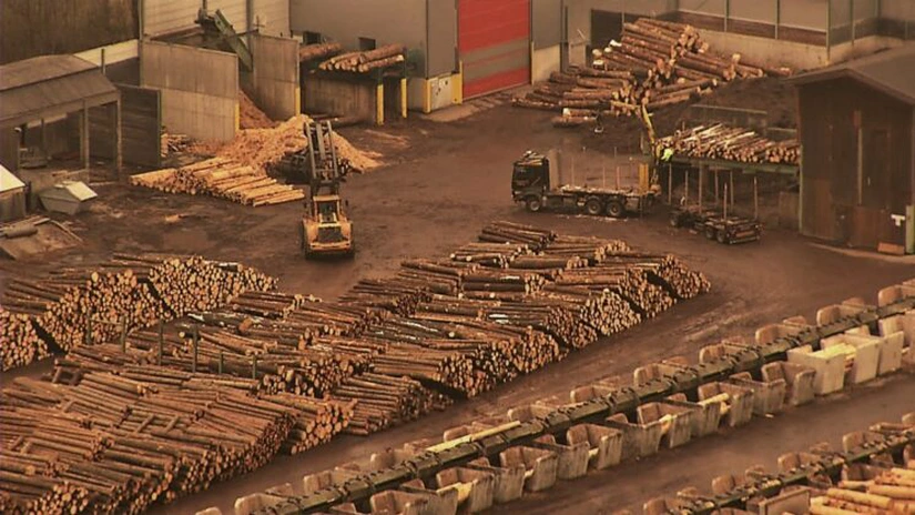 Holzindustrie Schweighofer: Planul de acţiune pentru o industrie sustenabilă a lemnului în România este implementat cu succes