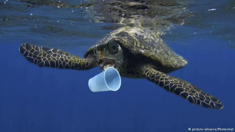 Director EPA: Interzicerea paielor din plastic nu va salva oceanele