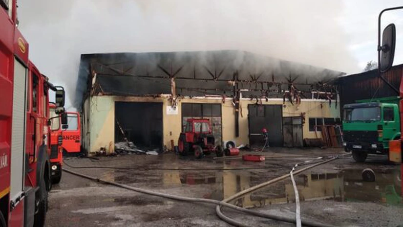 Incendiu la o fabrică de paleţi, din Maramureș