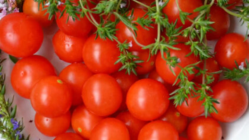 Seceta și bolile au ras producțiile de tomate din câmp. România a ajuns în topul importatorilor europeni