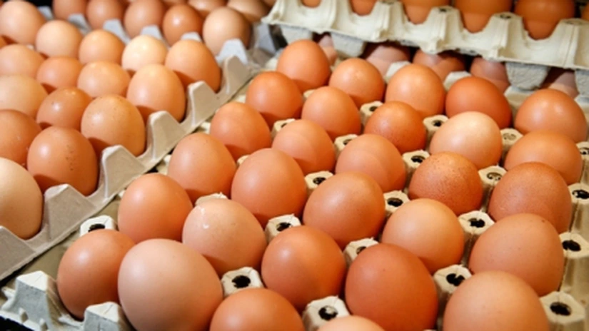 Ponea (ANSVSA): Sute de mii de ouă cu origine falsificată au fost vândute în România, am eliminat această reţea