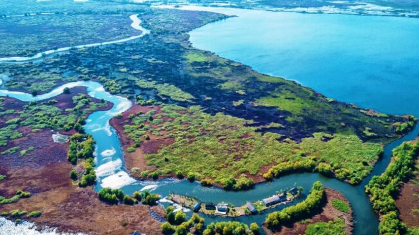 Insula Matiţa, din Delta Dunării, la licitaţie cu un preţ care începe de la 350.000 de euro