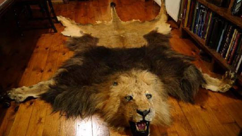 Euro sparge pragul de 4,78 lei. Un nou record istoric în faţa leului - curs BNR 21.11.2019