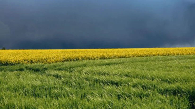 Cum va fi vremea de 1 iunie